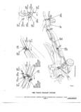 Previous Page - Chassis and Body Parts Catalog 72TM May 1979